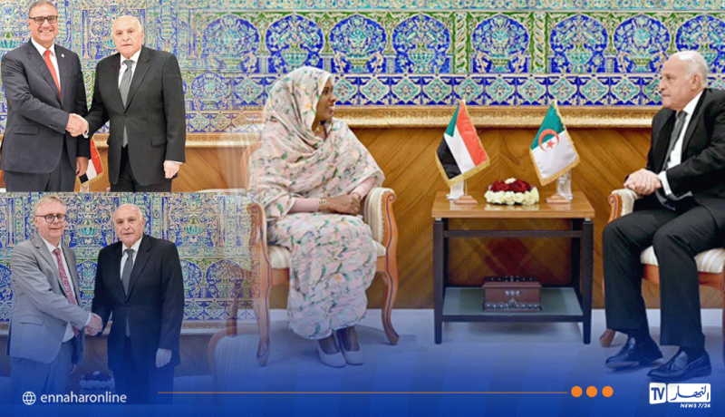 زيارات وداعية لسفراء السودان ومصر والسويد إلى وزير الخارجية