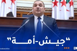 وزير العدل: قانون التعبئة العامة يهدف إلى توفير عوامل القوة للدفاع عن مصالح الجمهورية