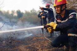 إندلاع حريق غابة بقرية الزوابرية في البويرة