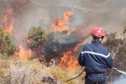 إندلاع حريق أحراش وأشجار في بجاية