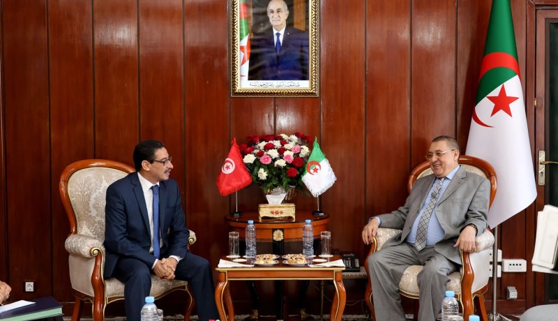 وزير الداخلية يستقبل السفير التونسي عقب انتهاء مهامه