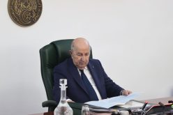 الرئيس تبون يأمر برفع اليقظة وتسخير الإمكانيات لمجابهة حرائق الصيف