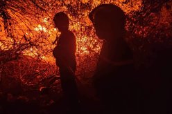 الحماية المدنية: إخماد حريق بومرداس دون تسجيل خسائر بشرية