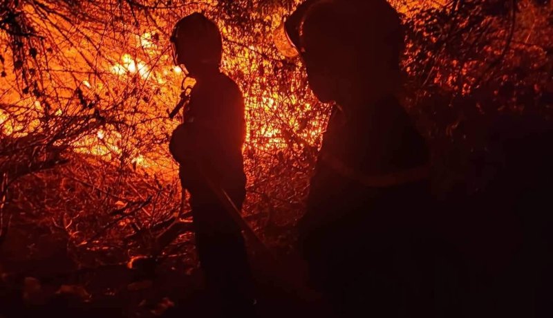 الحماية المدنية: إخماد حريق بومرداس دون تسجيل خسائر بشرية
