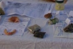 شرطة وهران تطيح بمشعوذ يحتال على ضحاياه لسلب أموالهم