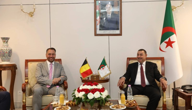 سعيود يبحث مع نائب رئيس وزراء بلجيكا تعزيز التعاون في قطاع النقل
