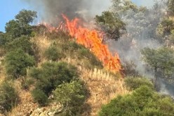 آخر حصيلة لحرائق الغابات.. إخماد في 4 ولايات وجهود مستمرة في 3 أخرى