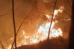 تبسة.. اندلاع حريق مهول في جبل الحوض بمرسط