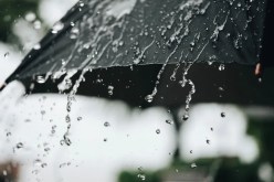 تساقط الأمطار على هذه الولايات 