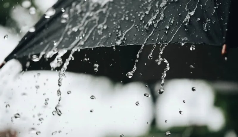 تساقط الأمطار على هذه الولايات
