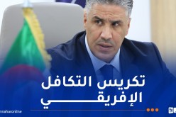 بلعريبي: الجزائر راهنت على البنى التحتية عبر إطلاق مشاريع استراتيجية كبرى