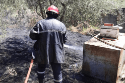 إندلاع عدة حرائق في جيجل