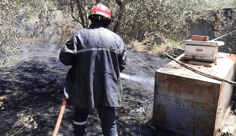إندلاع عدة حرائق في جيجل