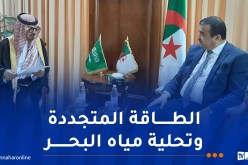 وزير الطاقة يؤكد على تعزيز التعاون مع السعودية