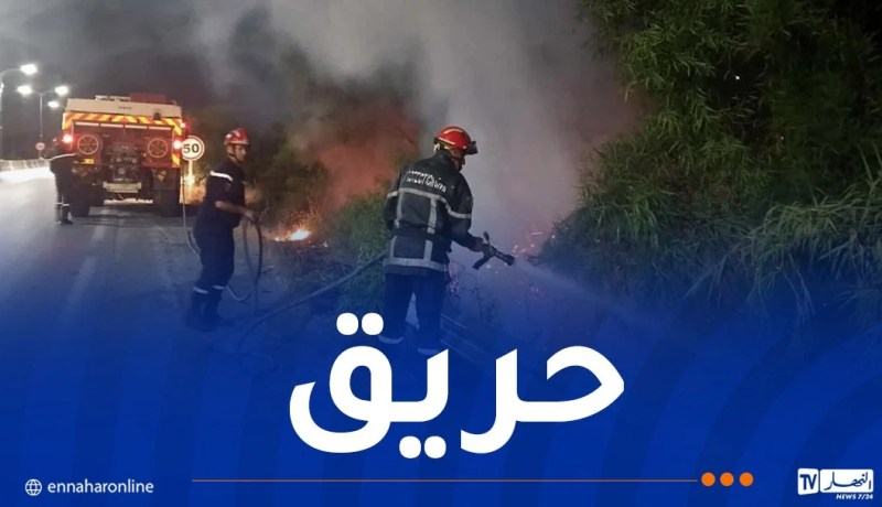 إندلاع حريق في ولاية جيجل