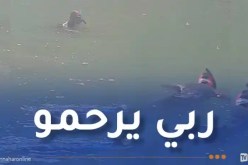 إنتشال جثة في سد بولاية سوق أهراس