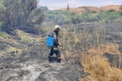 النعامة.. حريق في 3 بساتين بواحة عسلة