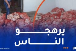 شرطة عين الدفلى تحجز 15 قنطارا من الدجاج الفاسد