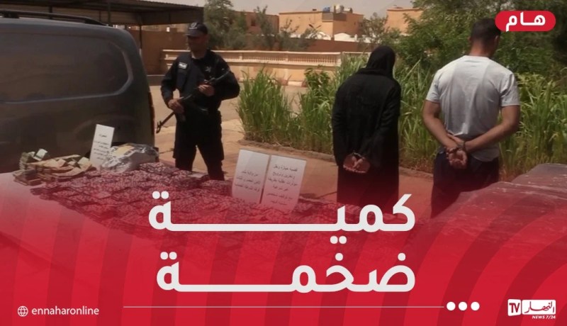 بشار: شل نشاط شبكة إجرامية وضبط 336 ألف كبسولة مهلوسات!