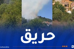 سكيكدة.. اندلاع حريق غابة بمنطقة بوزيتونة