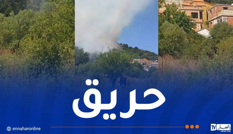 سكيكدة.. اندلاع حريق غابة بمنطقة بوزيتونة