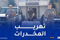 تلمسان.. حجز 1601 قرص من نوع “بريغابالين”