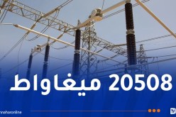 سونلغاز.. تسجيل سابع ذروة قياسية لاستهلاك الكهرباء اليوم
