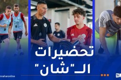 تعداد المنتخب المحلي يرتفع وبوقرة يضاعف وتيرة العمل