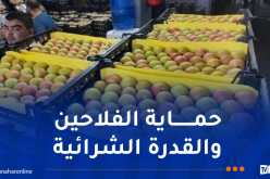 فضاءات مجانية لمنتجي التفاح لإحباط مخططات المضاربين