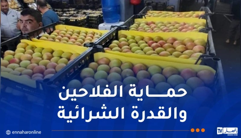 فضاءات مجانية لمنتجي التفاح لإحباط مخططات المضاربين