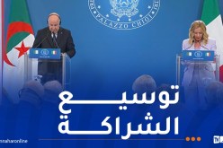 الرئيس تبون: نطمح لأن تصبح لدينا أكبر شبكة سكك حديدية في القارة