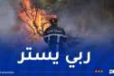 إندلاع حريق غابة في ولاية تيزي وزو