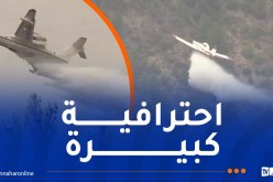 تسخير 9 طائرات لإخماد الحرائق ببرج بوعريريج