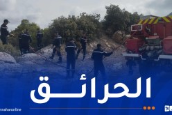 هذه الحالة العامة لحرائق الغابات عبر الوطن