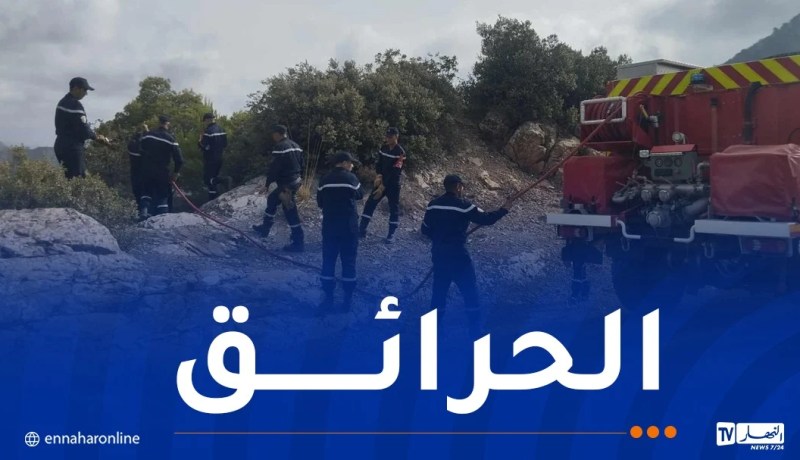 إندلاع عدة حرائق اليوم في هذه الولايات