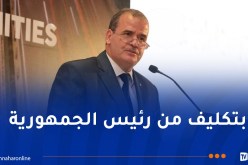 رزيق يشارك في القمة الأممية لأنظمة الغذاء بأديس أبابا غدا الأحد             