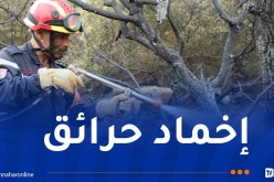 إخماد حرائق غابات عبر 5 ولايات