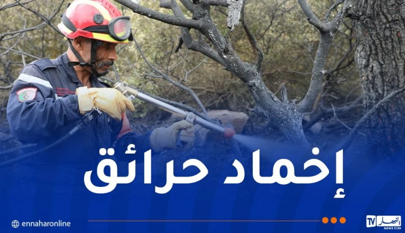 إخماد حرائق غابات عبر 5 ولايات