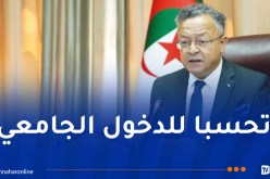 بداري يترأس اجتماعا لتحسين خريطة النقل الجامعي