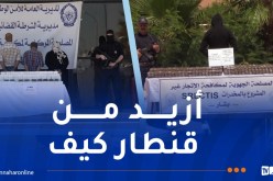 قادمة من المغرب.. إحباط محاولتي إغراق الولايات الوسطى والشرقية بالمخدرات