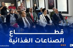 سيفي: تعويض المنتجات البلاستيكية بالورقية غير السامة والقابلة للتحلل