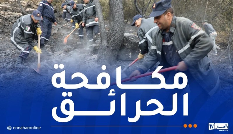 إخماد حرائق غابات عبر 9 ولايات