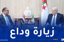 بوغالي يؤكد على تعزيز التعاون البرلماني بين الجزائر ومصر