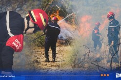 هذه الحالة العامة لحرائق الغابات