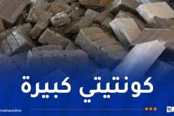 توقيف أكثر من 1100 تاجر مخدرات وإحباط محاولات إدخال 17.12 طن من الكيف المعالج