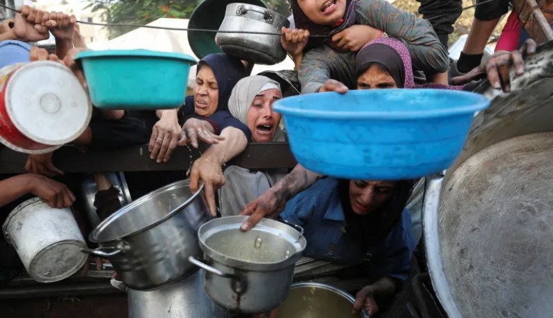 تفاقم المجاعة في غزة.. 20 فلسطينيًا يفقدون حياتهم خلال يومين