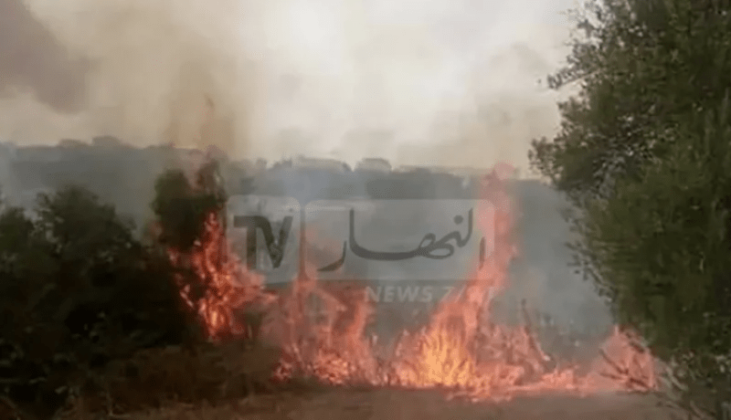 وزير الداخلية يؤكد على رفع مستوى اليقظة للوقاية من حرائق الغابات