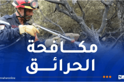 تسجيل 811 بؤرة حرائق مسّت 32 ولاية بداية من 2025