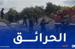 الحماية المدنية: إخماد حرائق عبر 3 ولايات