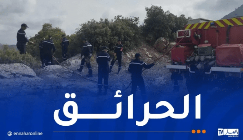 الحماية المدنية: إخماد حرائق عبر 3 ولايات